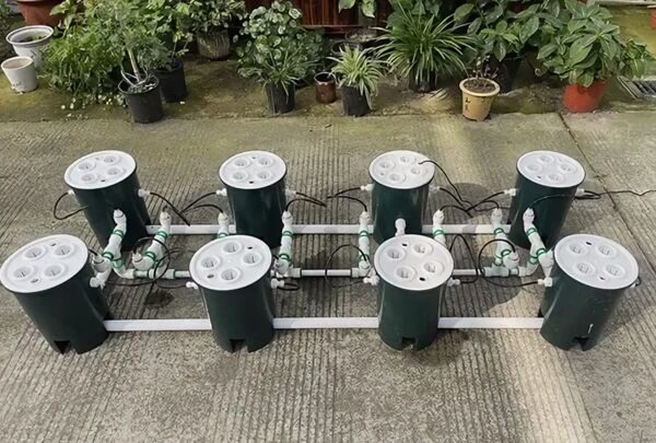  DWC 